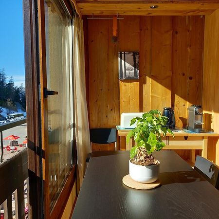 Appartement Tres Agreable 2 Pieces Au Pied Des Pistes à Valdeblore Extérieur photo